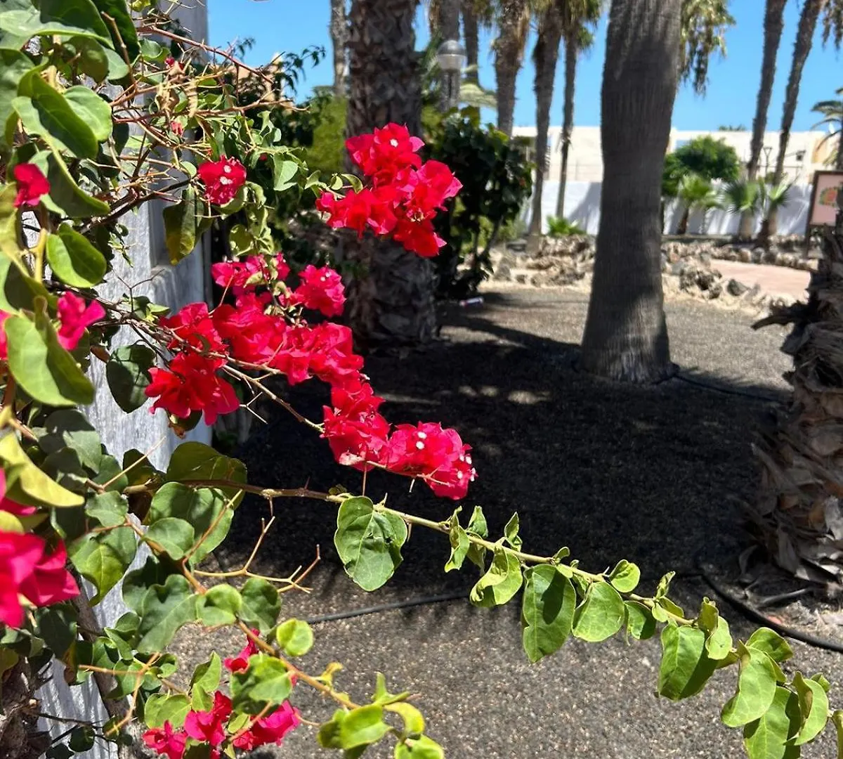 Apartamentos Gala Corralejo